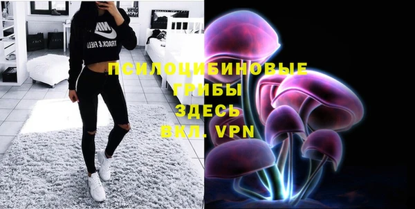 ешки Навашино